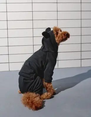 Костюм Dogs Bomba з кишенею чорний D-158