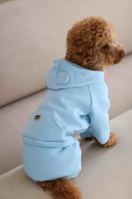Костюм Dogs Bomba з кишенею блакитний D-143