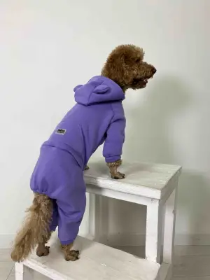 Костюм Dogs Bomba з кишенею фіолет D-142