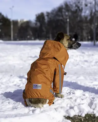Дощовик на змійці Dogs Bomba оранж MZ-8