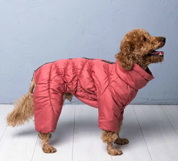 Зимовий комбінезон Comfort теракот R-50