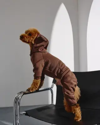 Костюм Dogs Bomba з кишенею шоколад D-225