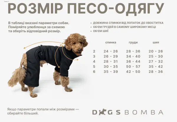 Вишиванка з китицями пудра RUB-49