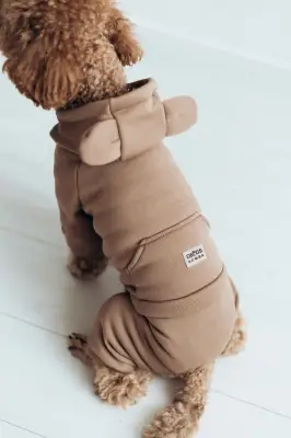 Костюм Dogs Bomba з кишенею бежевий D-185