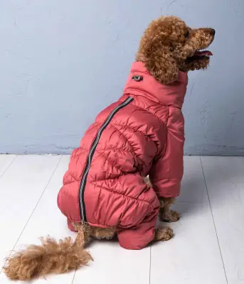 Зимовий комбінезон Comfort теракот R-50