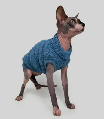 Светр для котiв в'язаний cоти блакитний SC-6