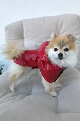 Дощовик плащ Dogs Bomba червоний M-43