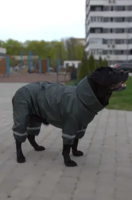 Дощовик для великих собак хакi MB-4