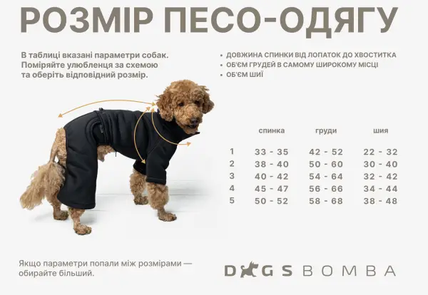 Дощовик для такс смарагд MT-31