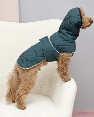 Жилет на липучці Dogs Bomba смарагд GL-13