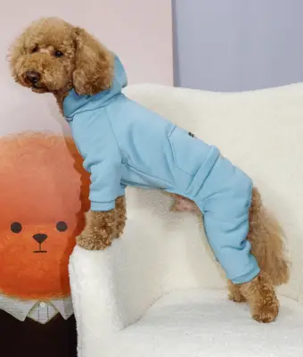 Костюм Dogs Bomba з кишенею бірюзовий D-226