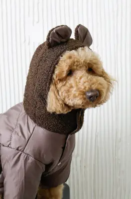 Куртка Teddy шоколад K-99