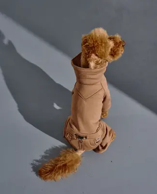 Костюм Party кемел D-208