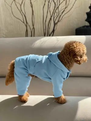 Костюм Dogs Bomba з кишенею блакитний D-143