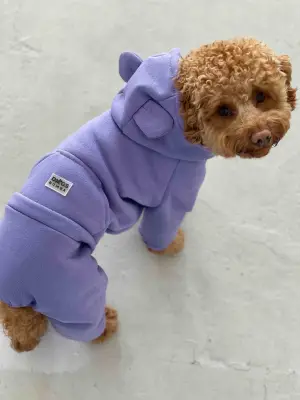 Костюм Dogs Bomba з кишенею фіолет D-142