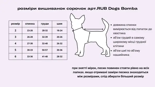 Сорочка Dogs Bomba Миккi RUB-36