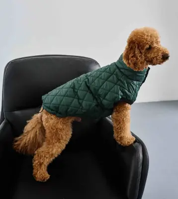 Жилет стежка Dogs Bomba смарагд G-100