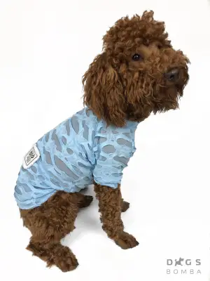 Футболка сітка Dogs Bomba блакитна F-20