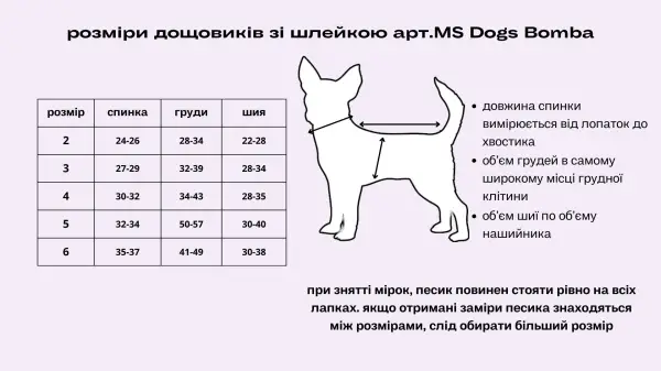 Дощовик з шлеей абстракція MS-4