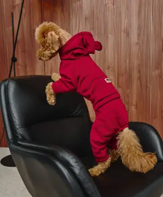 Костюм Dogs Bomba з кишенею марсала D-107