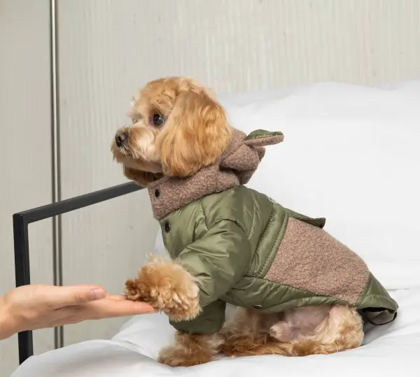 Куртка Teddy хакі K-80