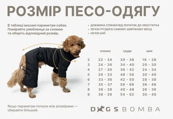Костюм Спорт блакитно бежевий D-215