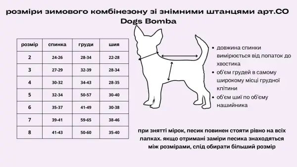 Комбінезон зі знімними штанами камуфляж блакитний CO-20
