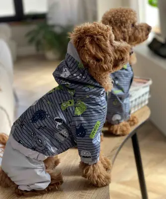 Дощовик монстрики M-90